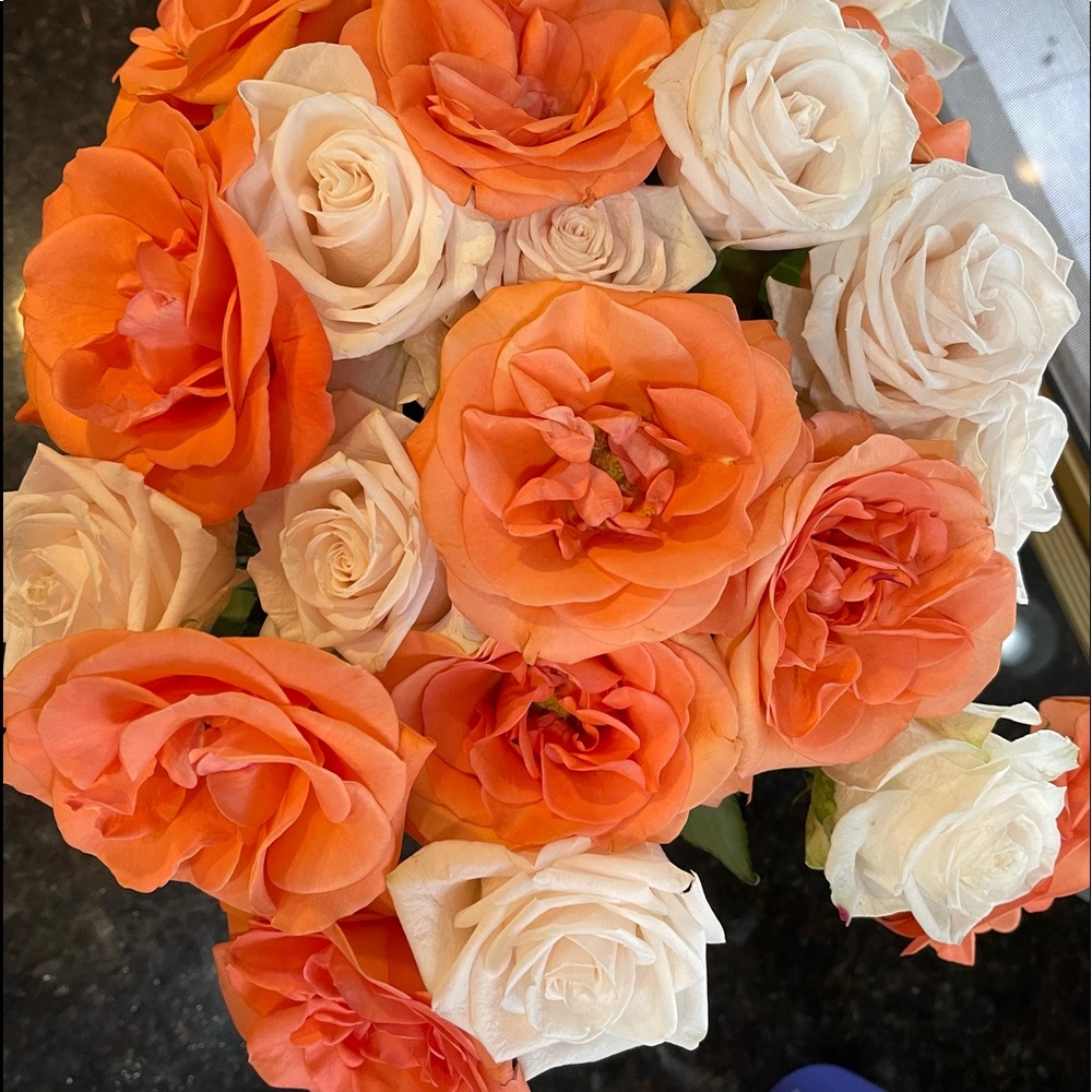 Meet your Posher, Anita